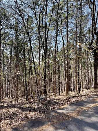 0.25 Acres of Land for Sale in Hot Springs Village, Arkansas