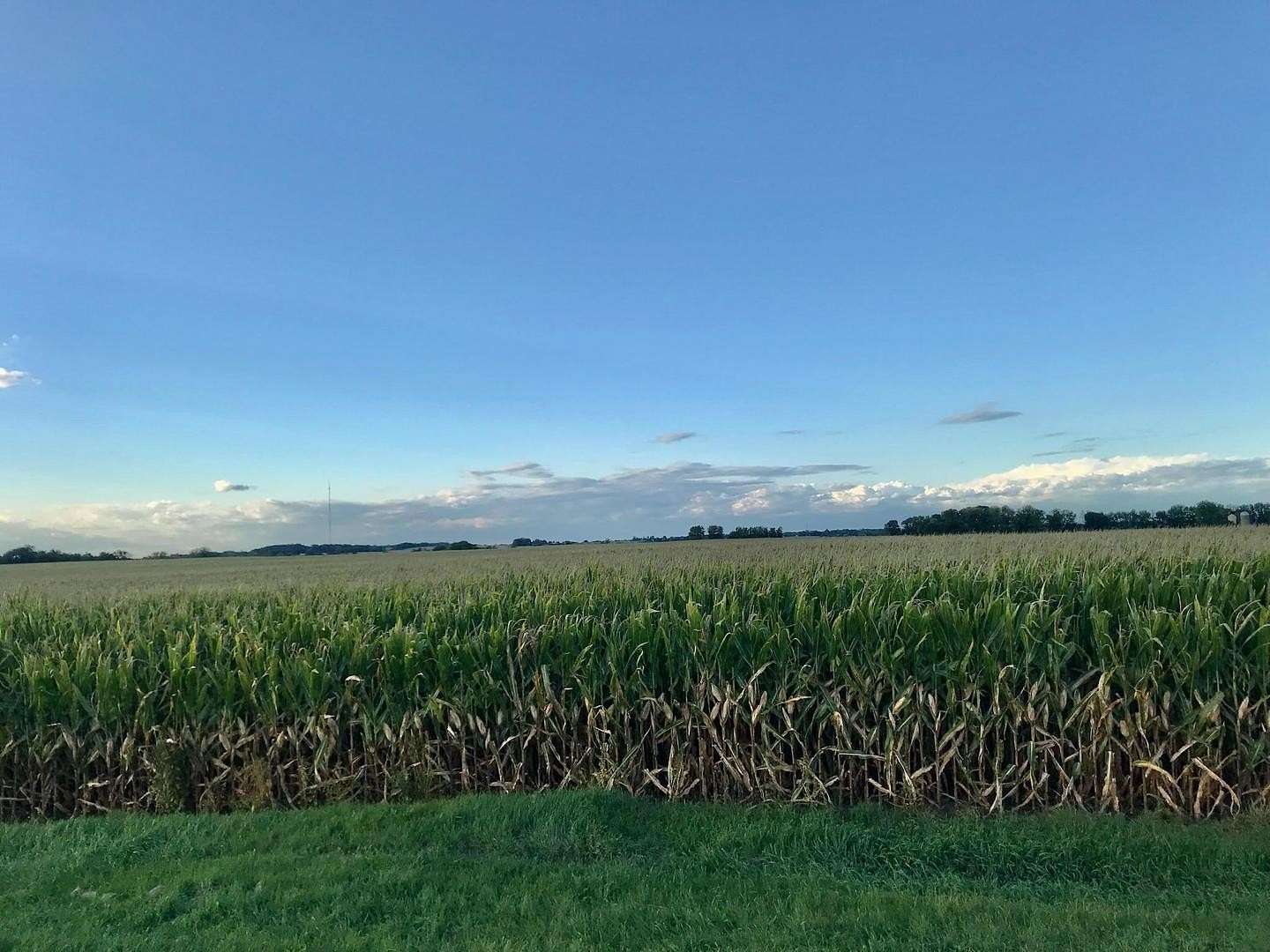 35.7 Acres of Agricultural Land for Sale in Winnebago, Illinois