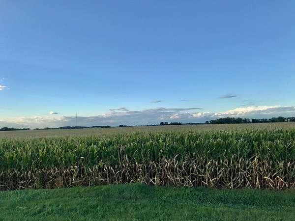 35.7 Acres of Agricultural Land for Sale in Winnebago, Illinois