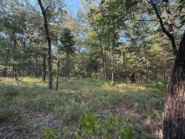 8.69 Acres of Residential Land for Sale in Mineola, Texas