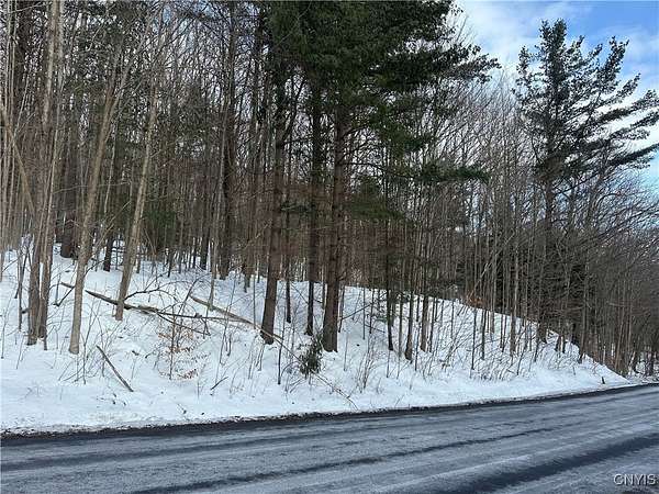 3.1 Acres of Residential Land for Sale in Tully, New York