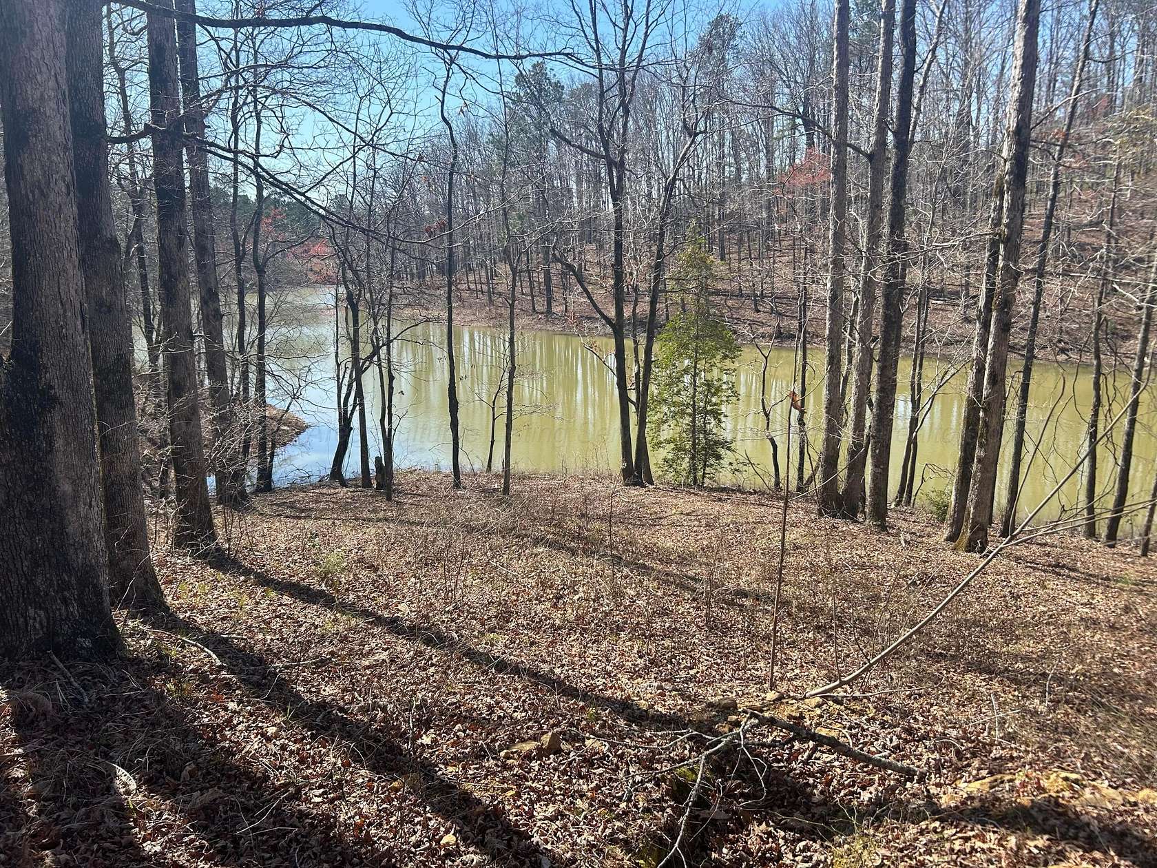2.27 Acres of Residential Land for Sale in Double Springs, Alabama