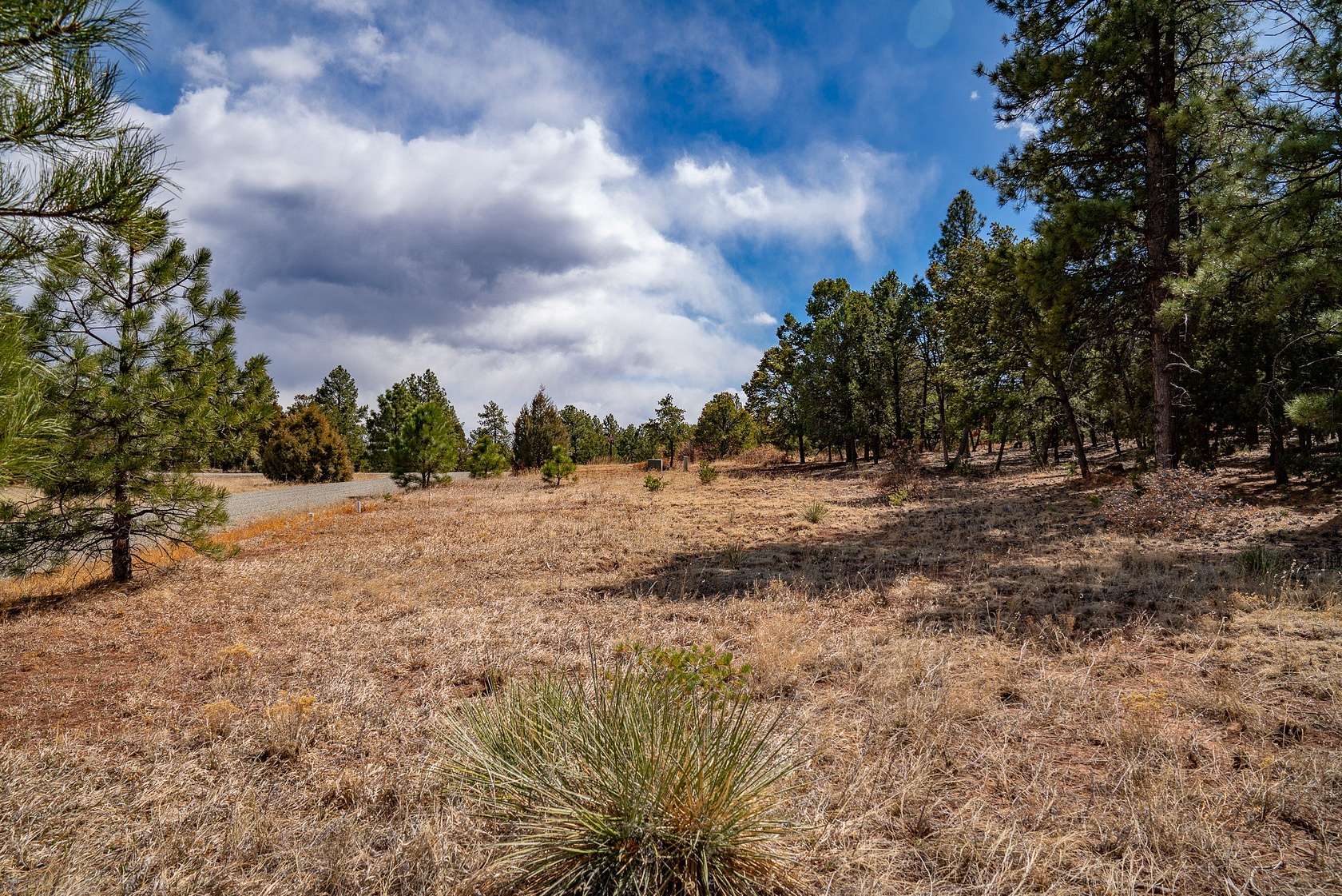 0.29 Acres of Residential Land for Sale in Pecos, New Mexico