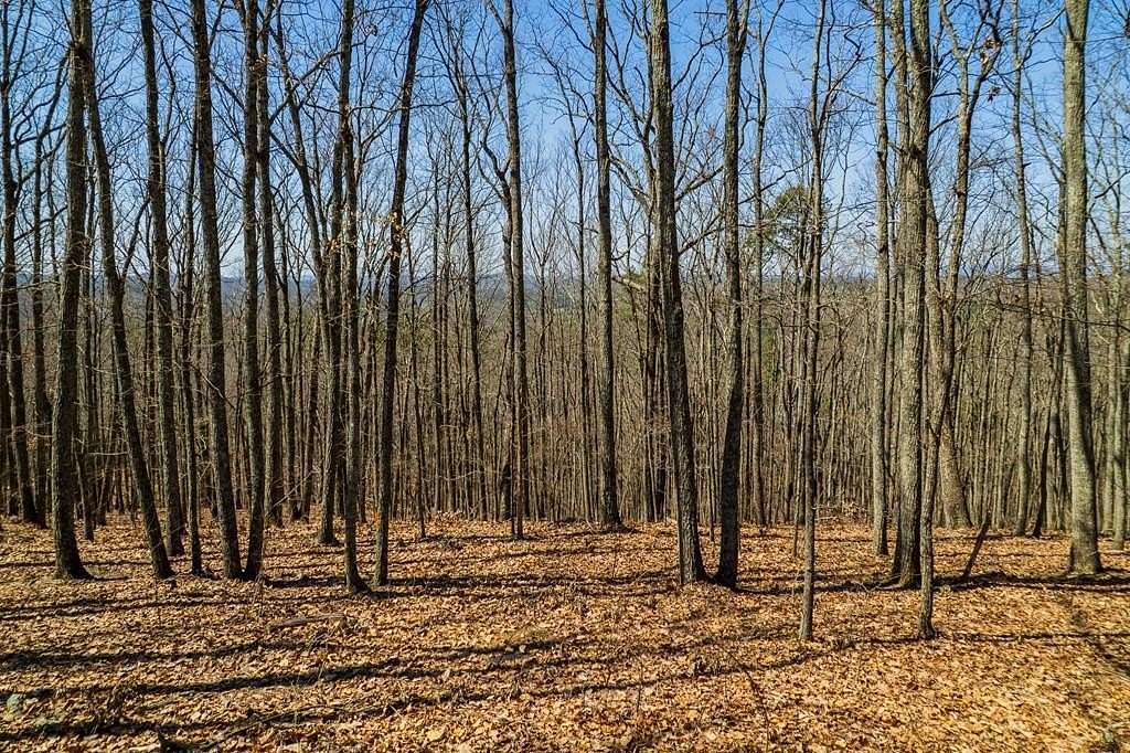 2.34 Acres of Residential Land for Sale in Talking Rock, Georgia
