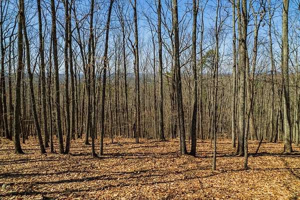 2.34 Acres of Residential Land for Sale in Talking Rock, Georgia