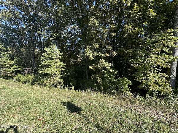 0.36 Acres of Residential Land for Sale in Rockwood, Tennessee