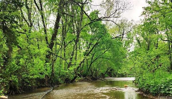 1 Acre of Land for Sale in Sage, Arkansas