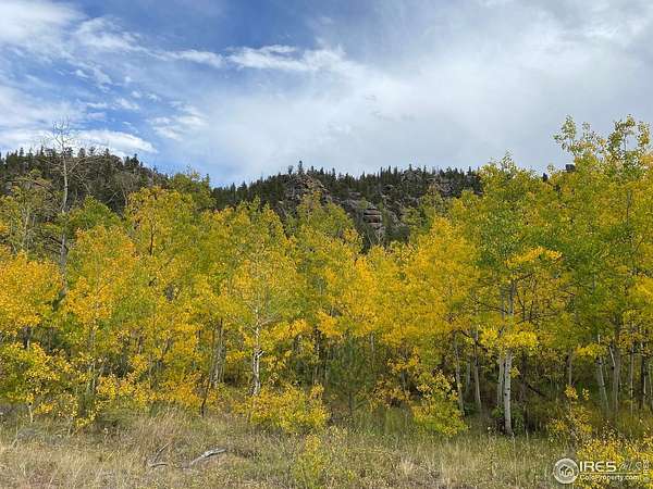 2.53 Acres of Land for Sale in Red Feather Lakes, Colorado