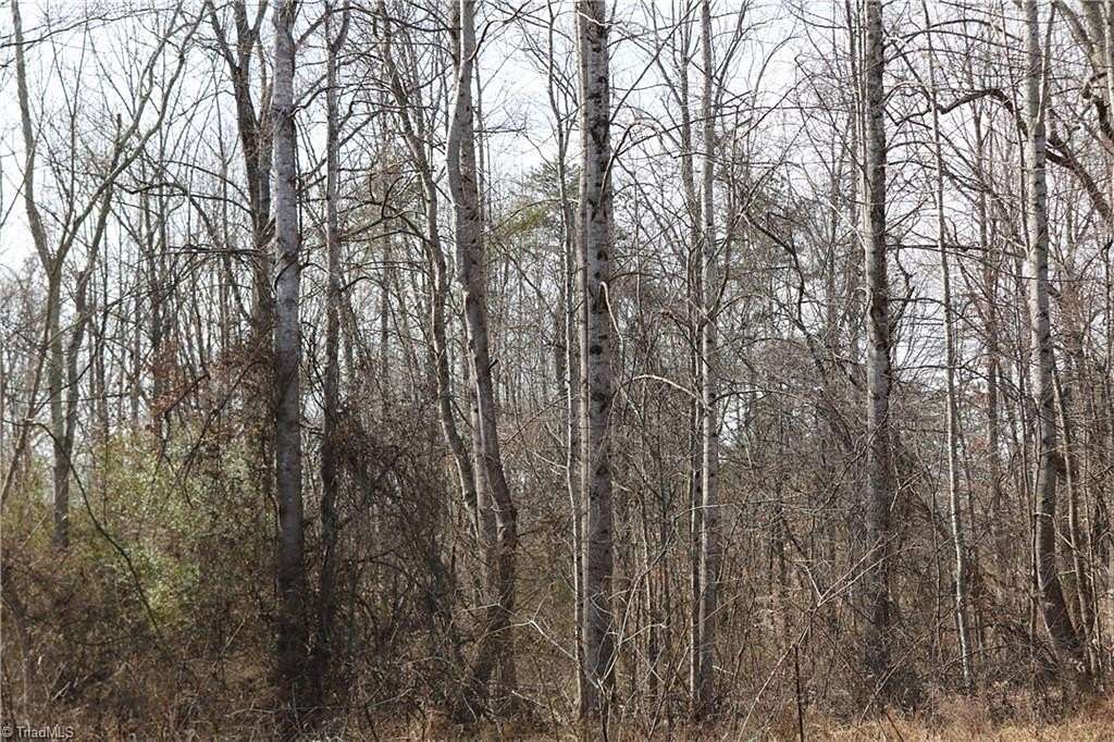 4.5 Acres of Residential Land for Sale in Reidsville, North Carolina