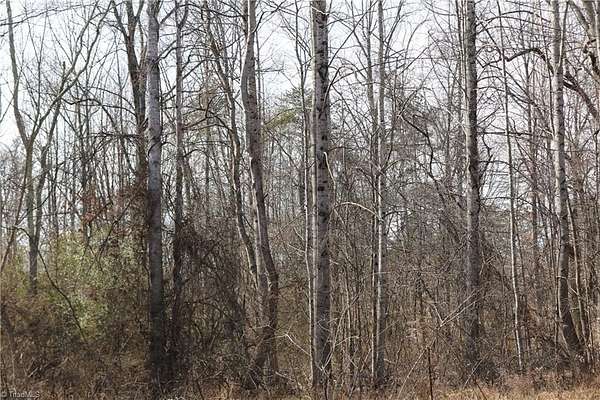 4.5 Acres of Land for Sale in Reidsville, North Carolina
