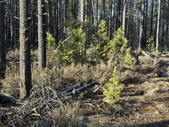 1 Acre of Residential Land for Sale in Chemult, Oregon