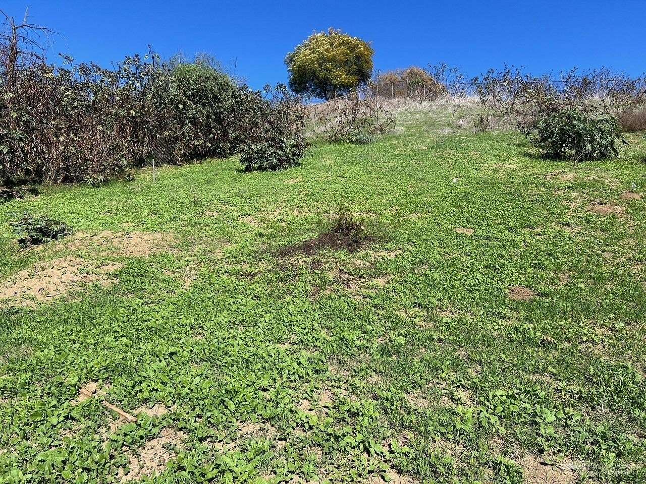 0.03 Acres of Residential Land for Sale in Los Angeles, California