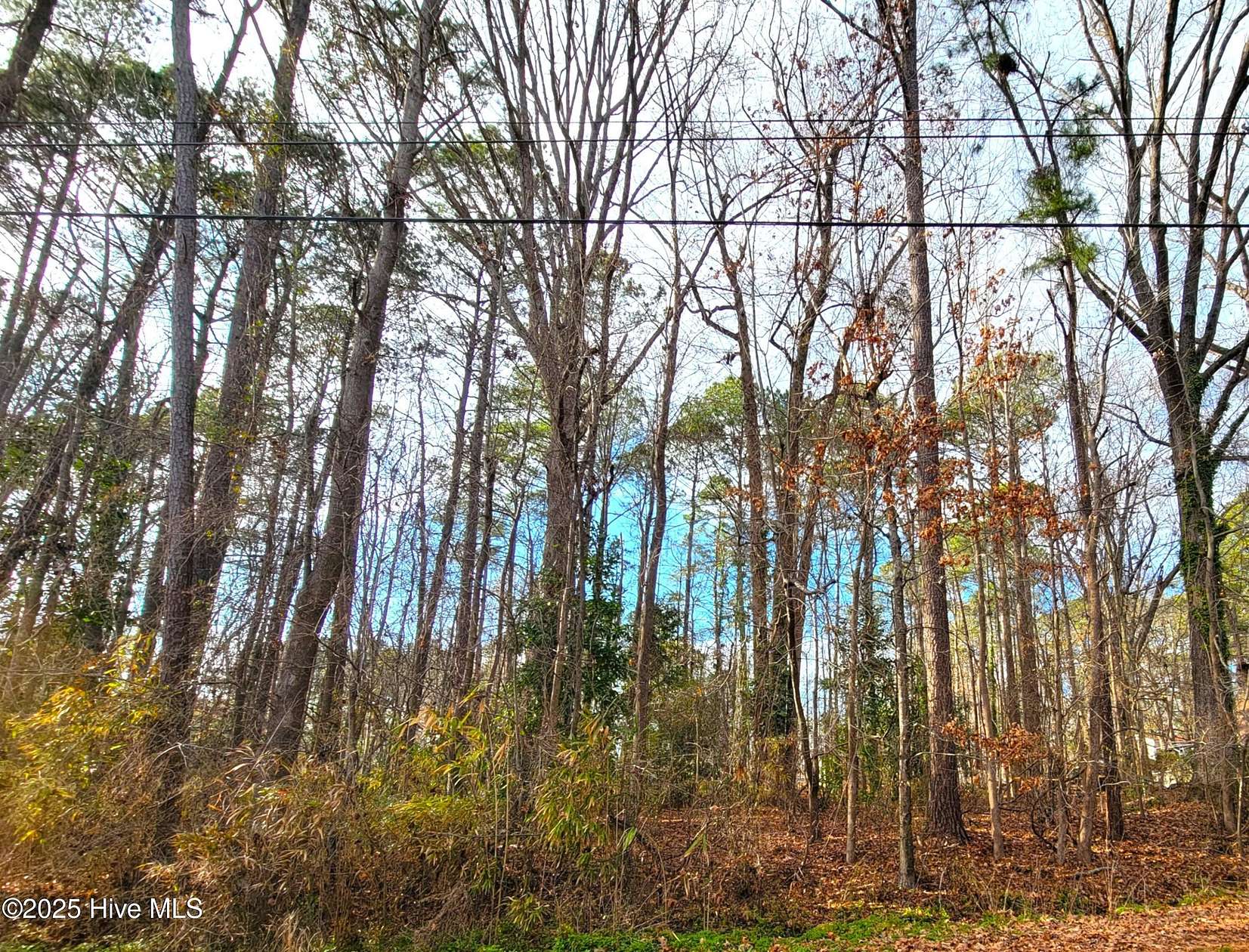 0.69 Acres of Residential Land for Sale in Grifton, North Carolina