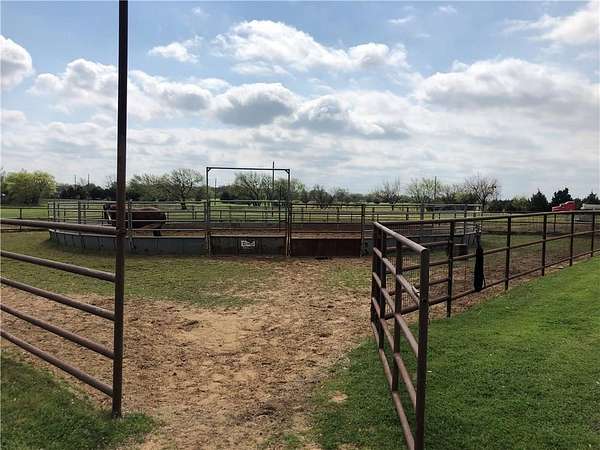 54.7 Acres of Improved Agricultural Land for Sale in Aubrey, Texas