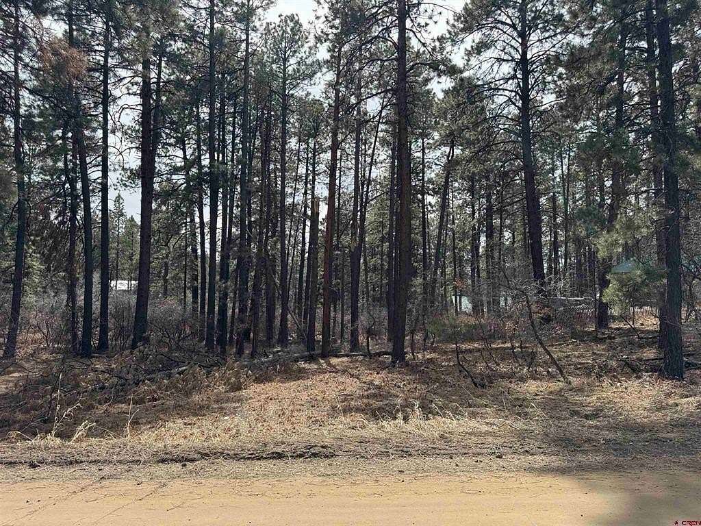 1 Acre of Residential Land for Sale in Bayfield, Colorado