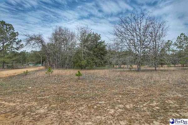 4.84 Acres of Residential Land for Sale in Dillon, South Carolina