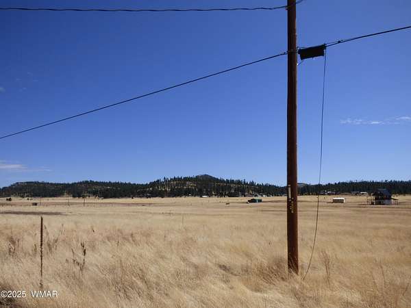 1.66 Acres of Residential Land for Sale in Alpine, Arizona