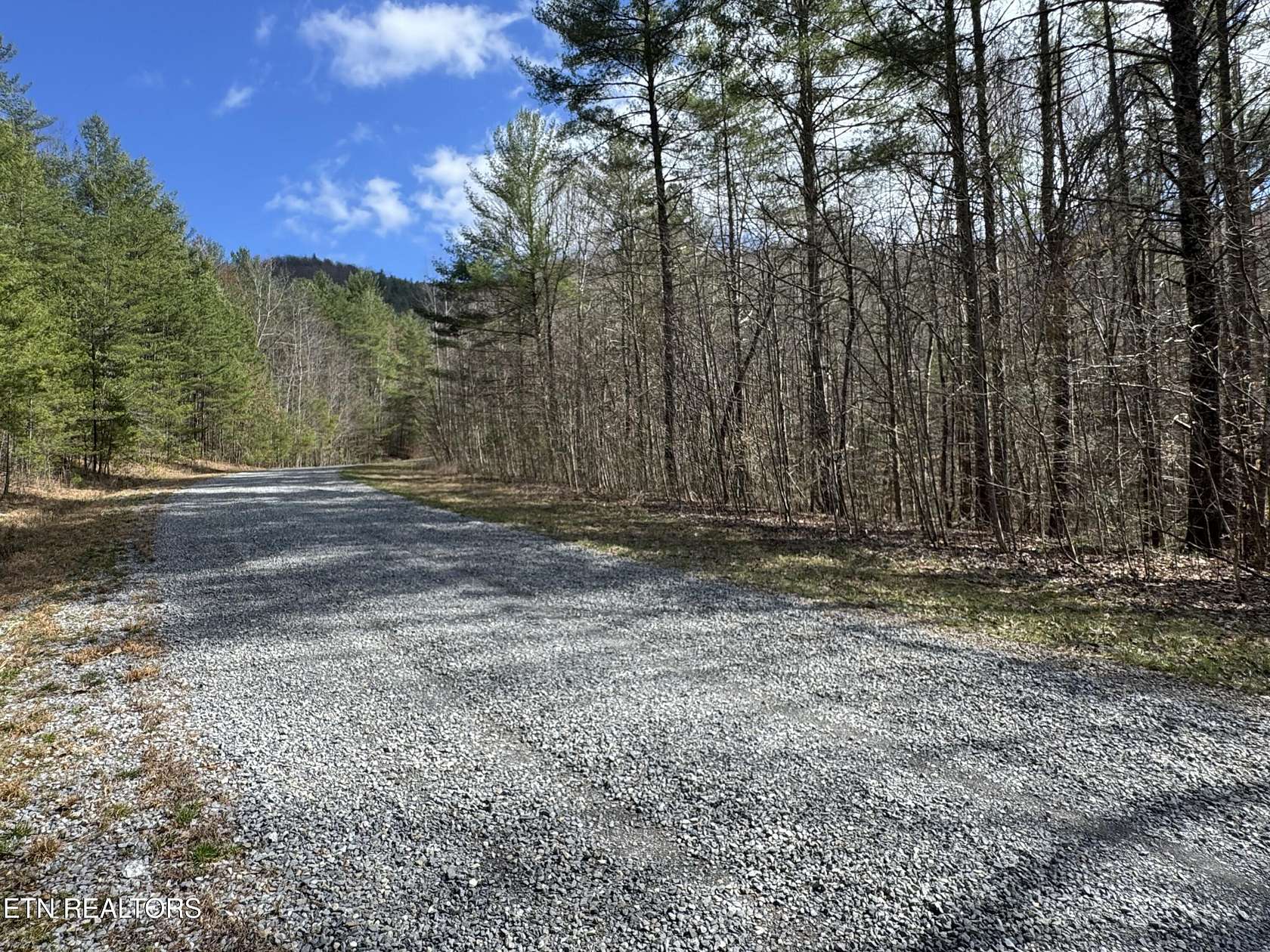 10.1 Acres of Land for Sale in Del Rio, Tennessee