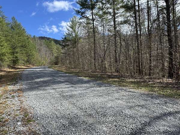 10.1 Acres of Land for Sale in Del Rio, Tennessee