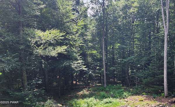 3.5 Acres of Residential Land for Sale in Dingmans Ferry, Pennsylvania