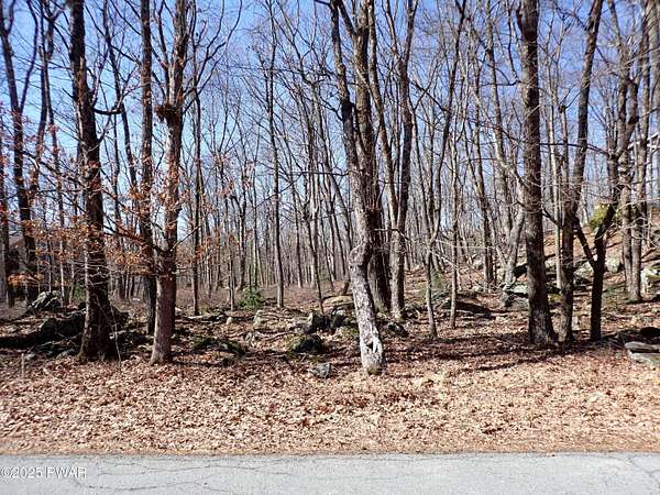 0.53 Acres of Residential Land for Sale in Lords Valley, Pennsylvania