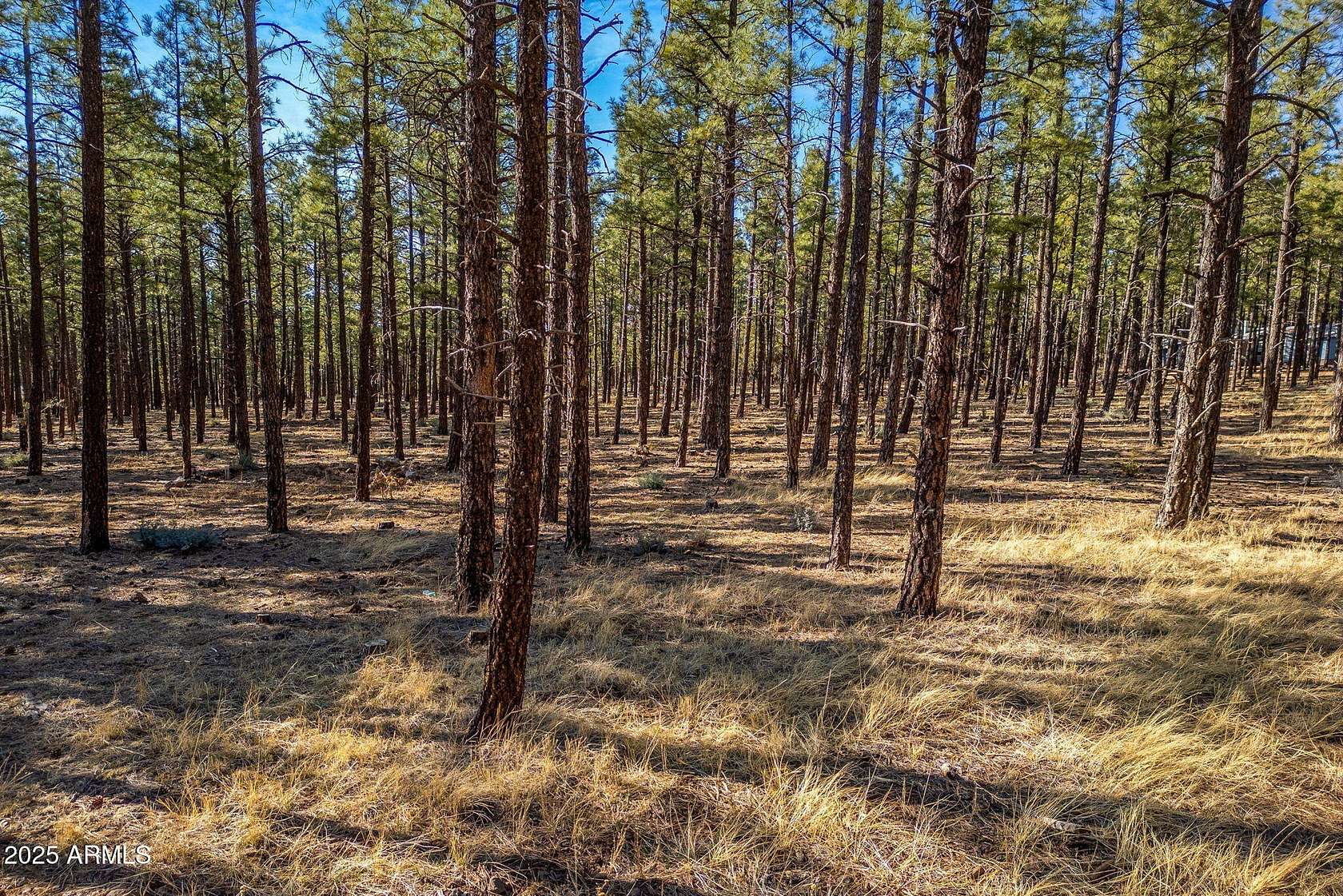 2.54 Acres of Residential Land for Sale in Pinetop-Lakeside, Arizona