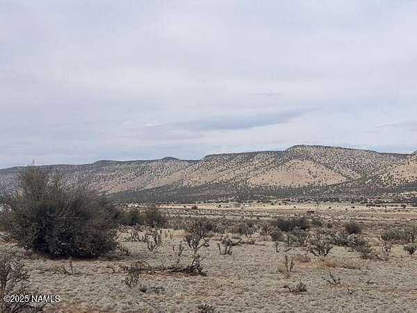 2 Acres of Residential Land for Sale in Seligman, Arizona