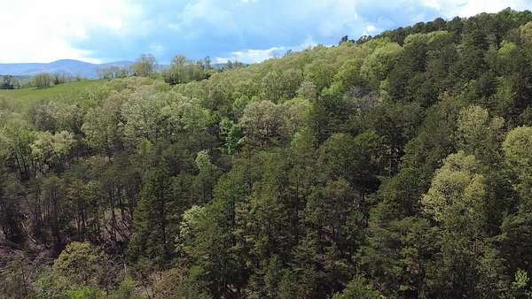 17.2 Acres of Recreational Land for Sale in New Castle, Virginia