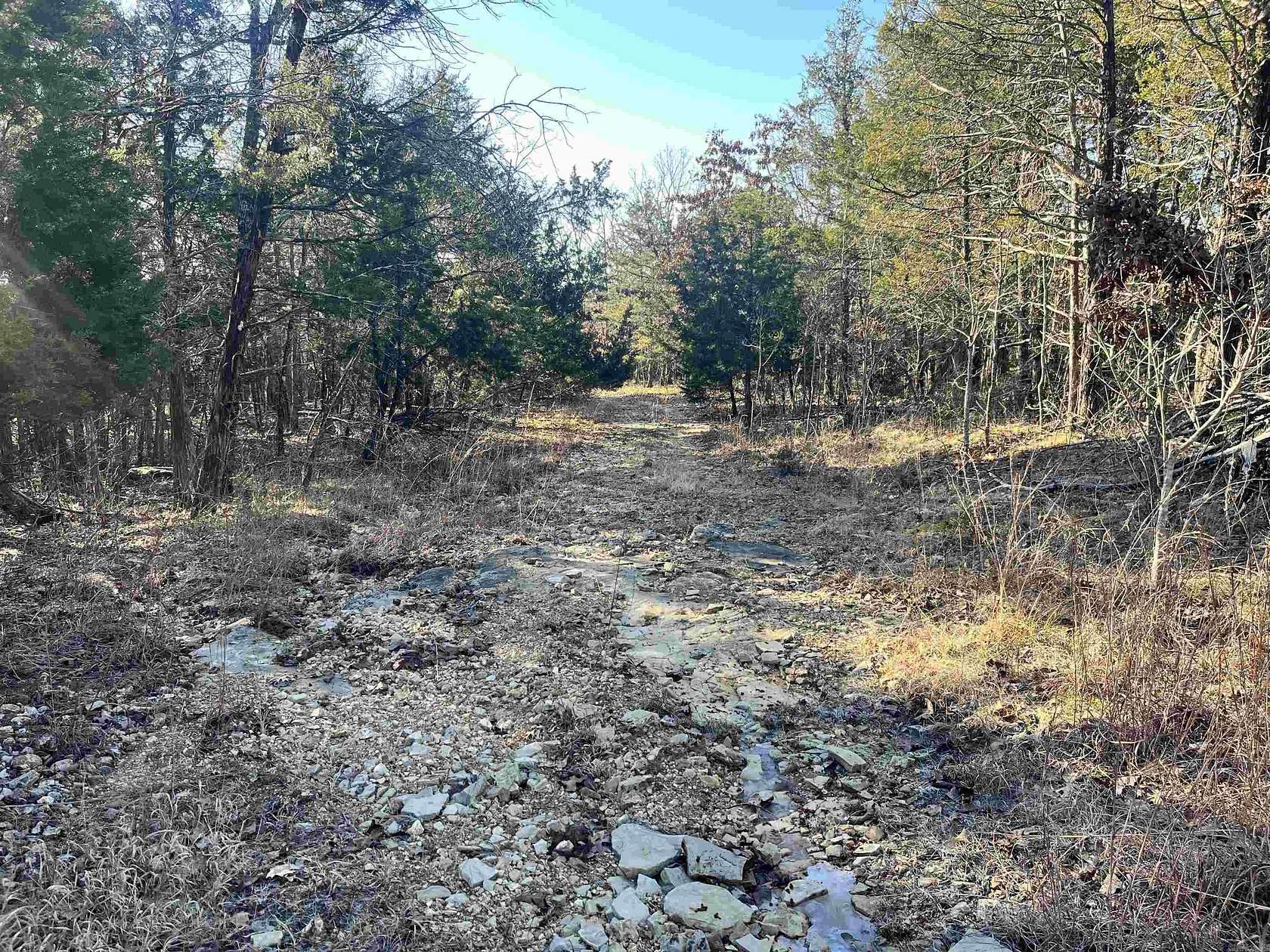 40 Acres of Recreational Land for Sale in Marion County Township, Arkansas