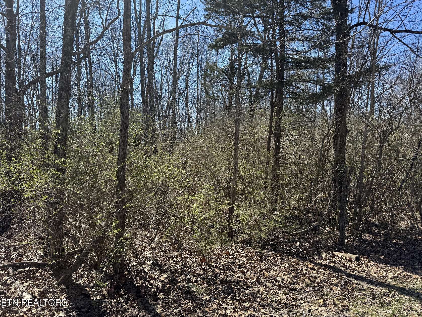 1.5 Acres of Land for Sale in Crossville, Tennessee