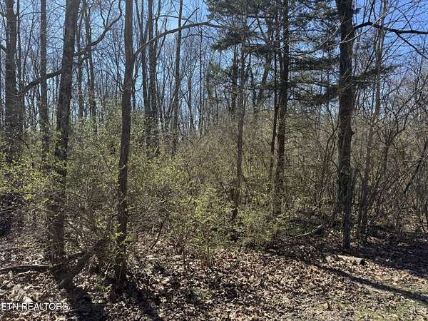 1.5 Acres of Land for Sale in Crossville, Tennessee