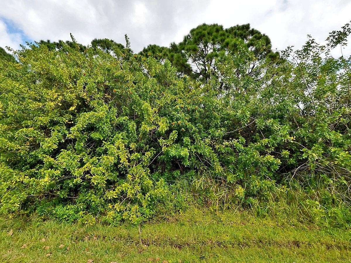 0.45 Acres of Residential Land for Sale in Port St. Lucie, Florida
