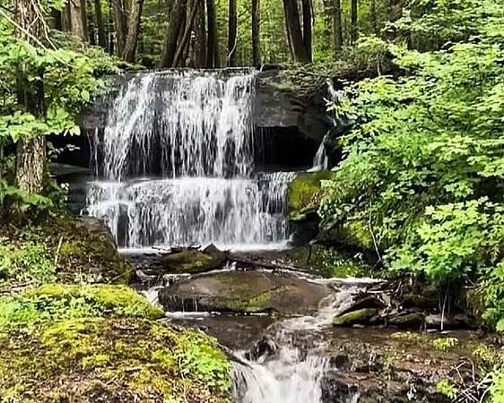 63.3 Acres of Recreational Land & Farm for Sale in Margaretville, New York