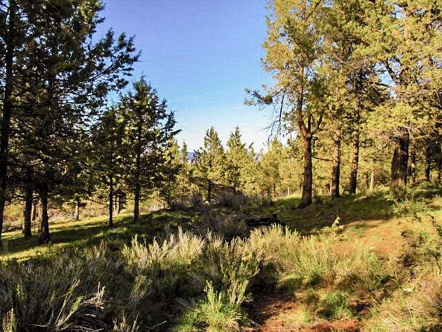 2.79 Acres of Residential Land for Sale in Keno, Oregon