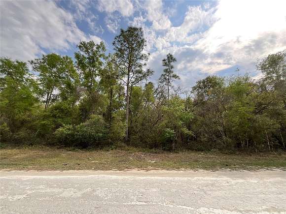 0.98 Acres of Residential Land for Sale in Webster, Florida