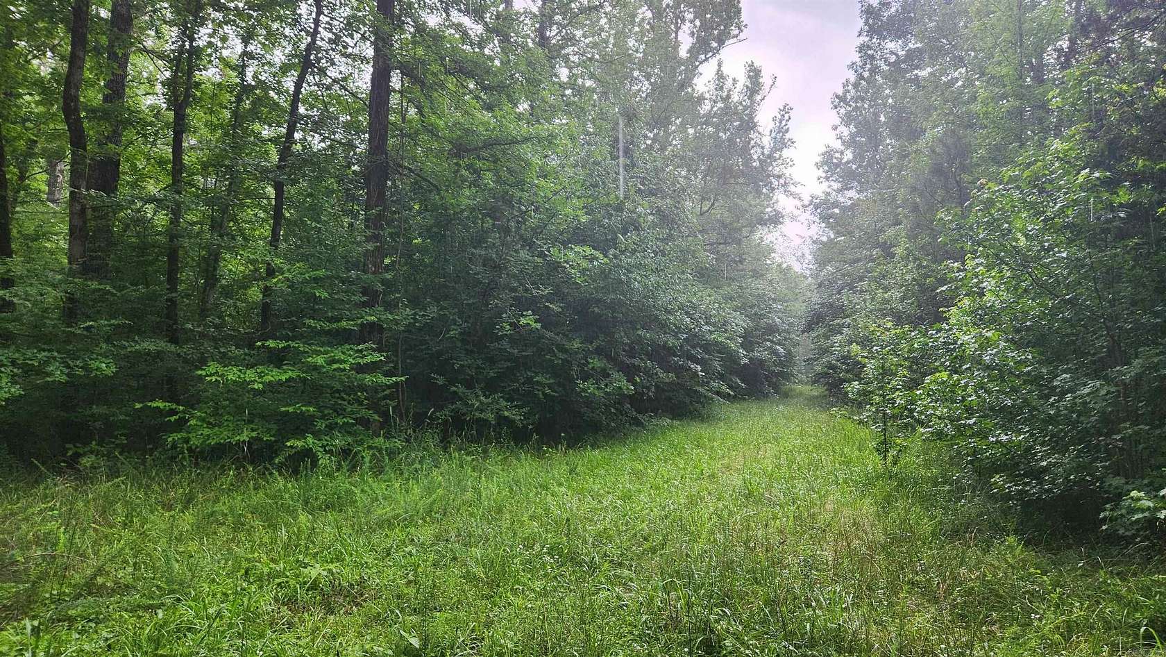 21.8 Acres of Recreational Land for Sale in Story, Arkansas
