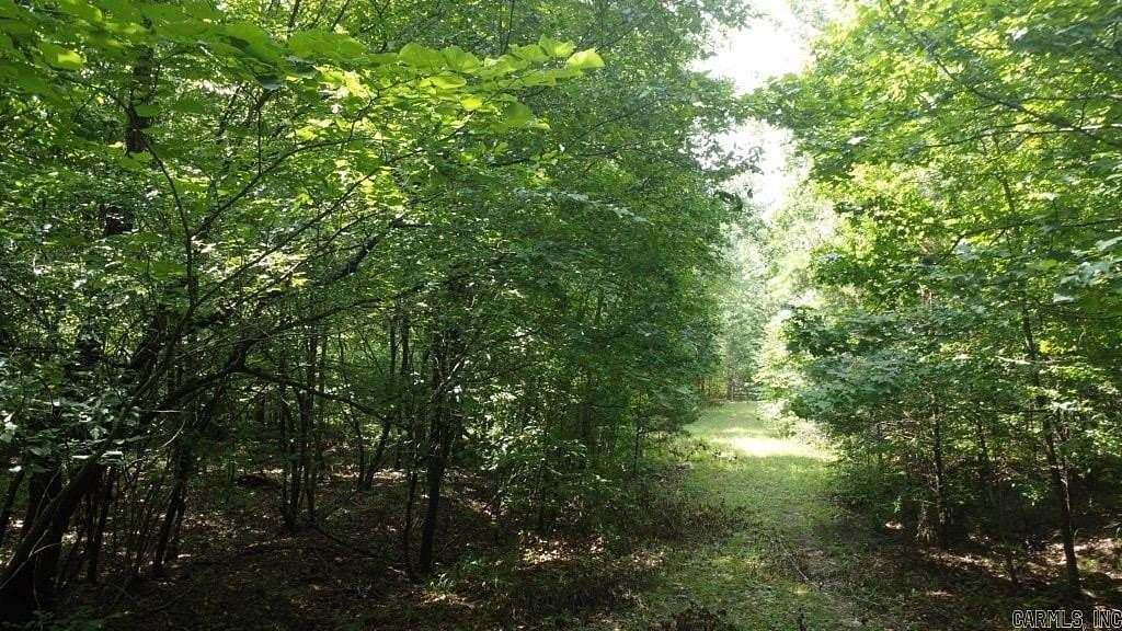 21.8 Acres of Recreational Land for Sale in Story, Arkansas