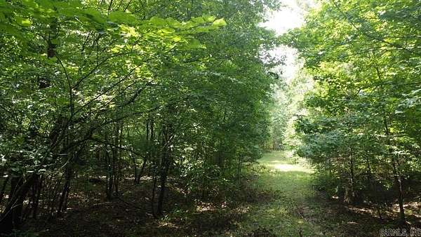 21.8 Acres of Recreational Land for Sale in Story, Arkansas