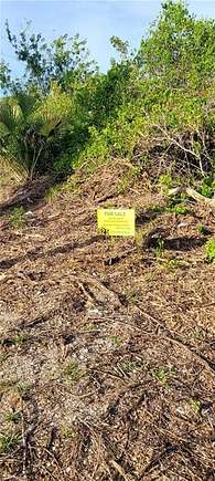 0.27 Acres of Residential Land for Sale in Lehigh Acres, Florida