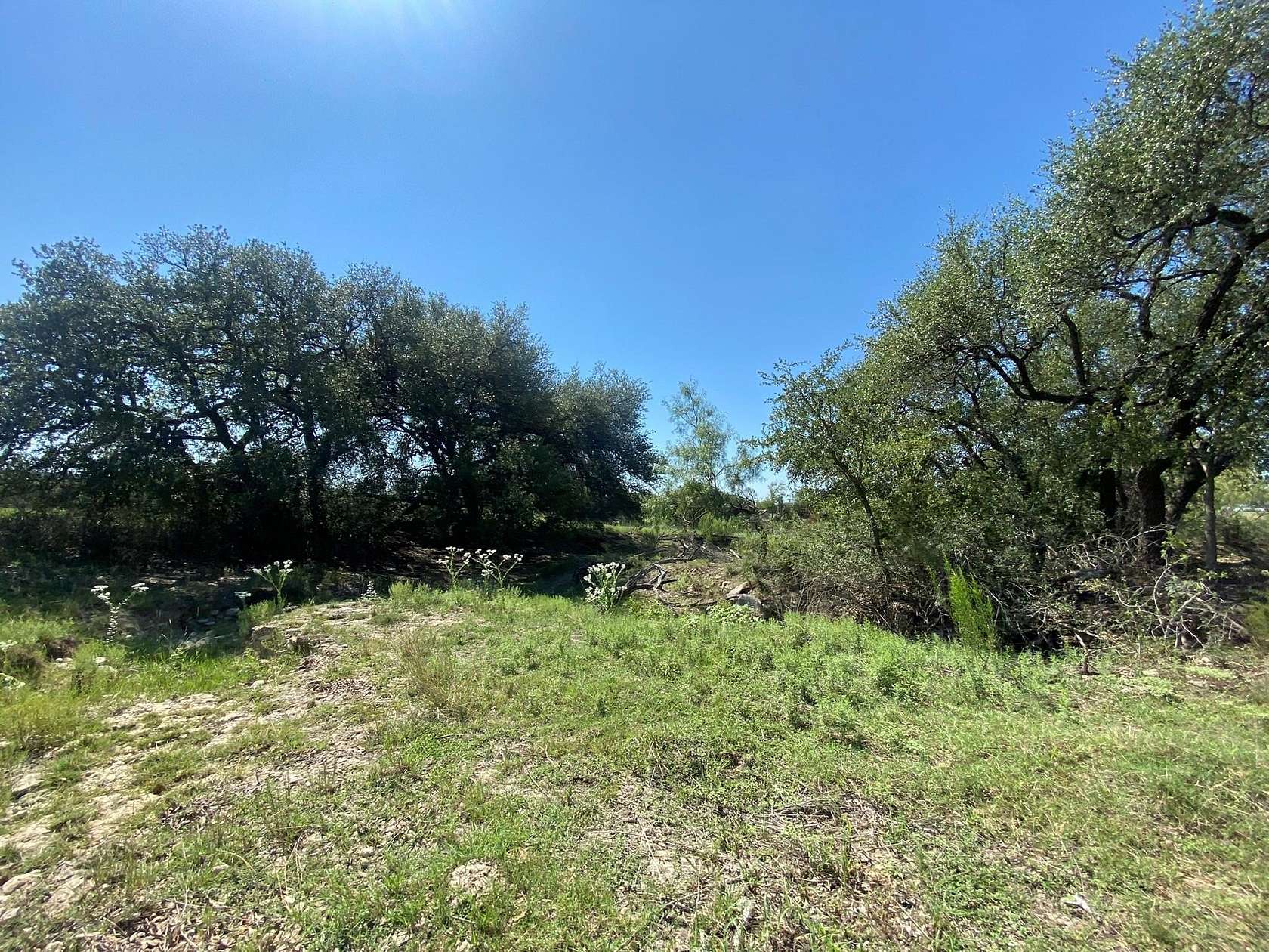 26 Acres of Land for Sale in Goldthwaite, Texas