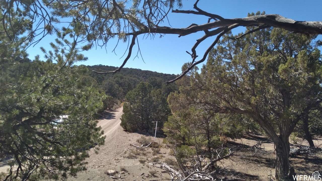 20 Acres of Recreational Land for Sale in Fruitland, Utah