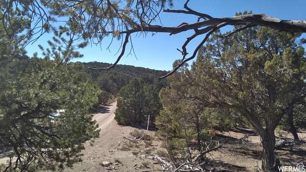 20 Acres of Recreational Land for Sale in Fruitland, Utah