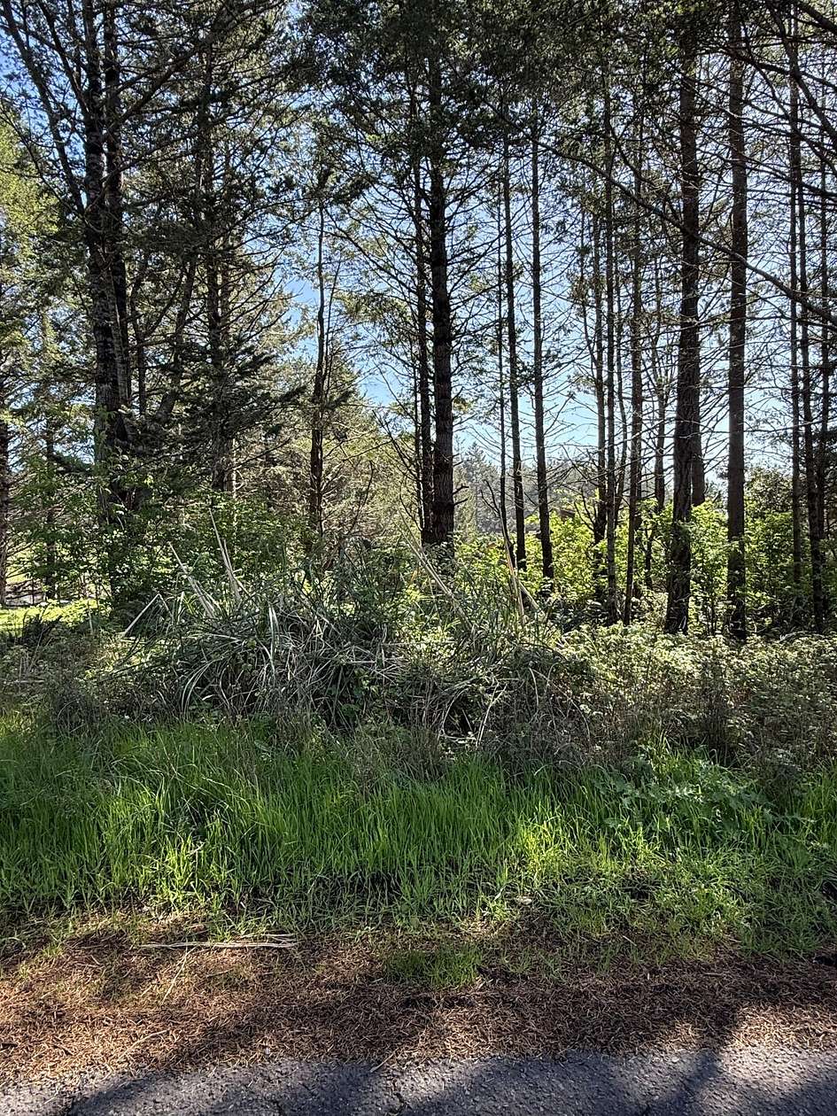 0.21 Acres of Residential Land for Sale in Whitethorn, California