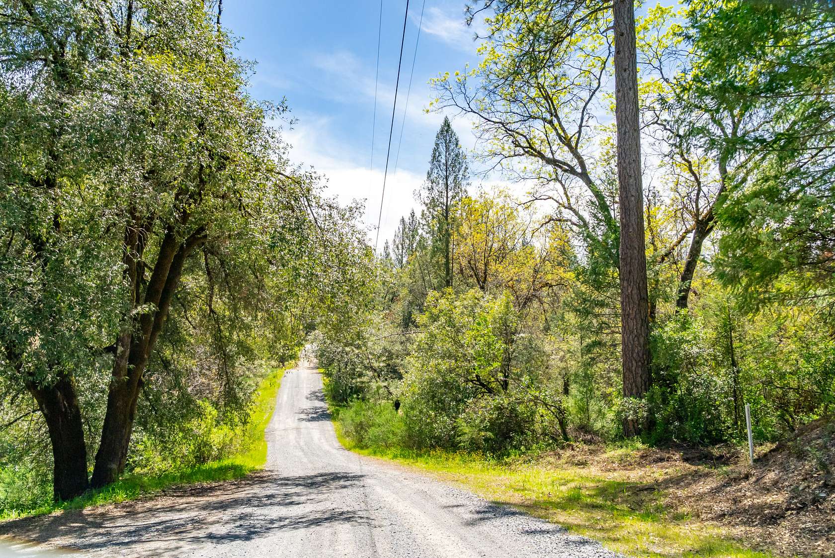 20 Acres of Recreational Land for Sale in Greenwood, California