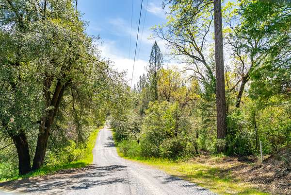 20 Acres of Recreational Land for Sale in Greenwood, California