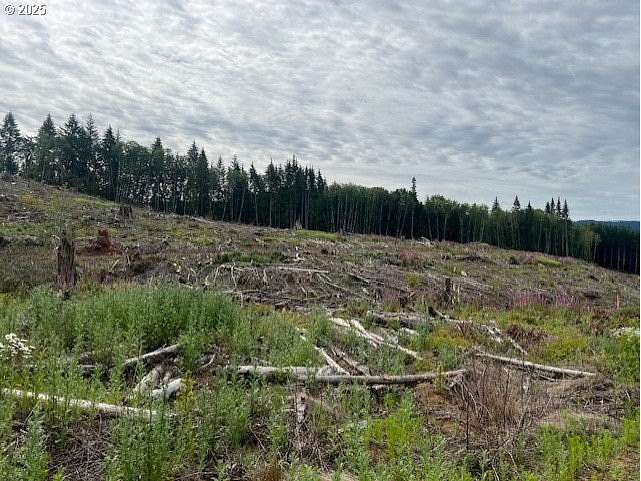 112 Acres of Recreational Land for Sale in Birkenfeld, Oregon