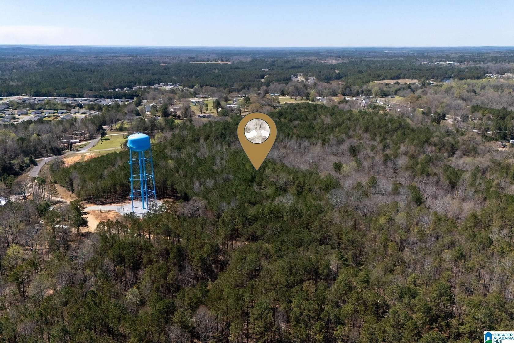16 Acres of Land for Sale in Brookwood, Alabama