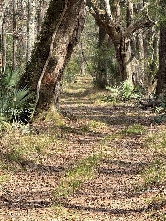 Land for Sale in Hardeeville, South Carolina