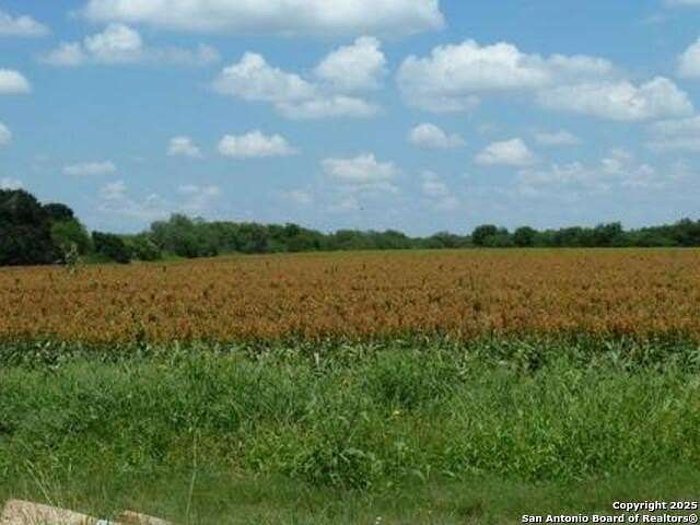 185 Acres of Agricultural Land for Sale in Alice, Texas