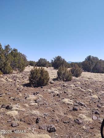 2.58 Acres of Land for Sale in Concho, Arizona